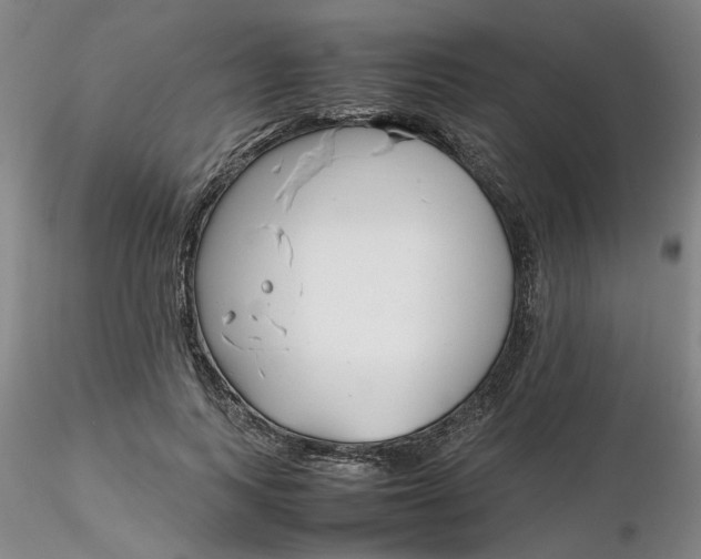 X0000116270743200912211758