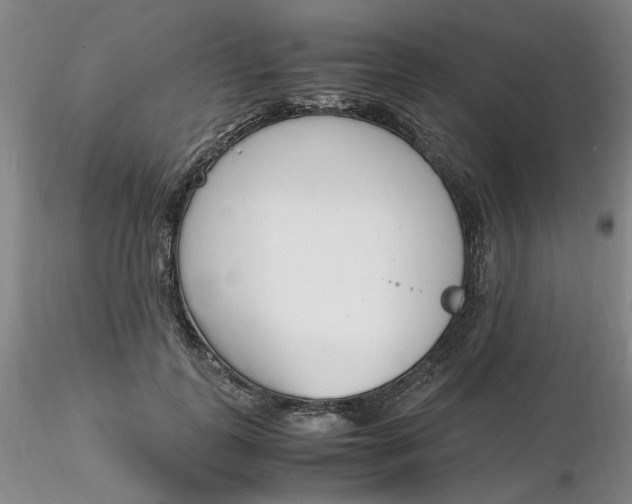 X0000116270747200912211758