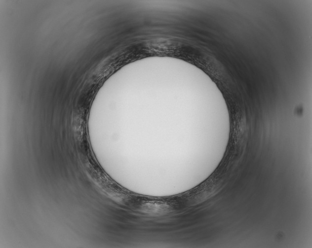 X0000116270749200912211758