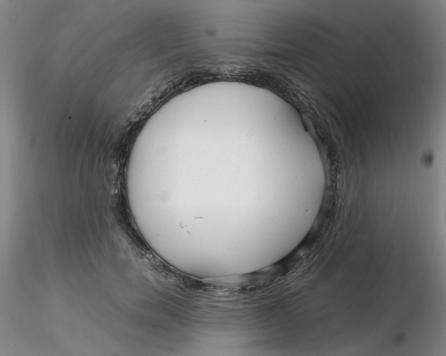 X0000116270750200912211758