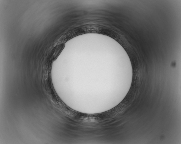 X0000116270751200912211758