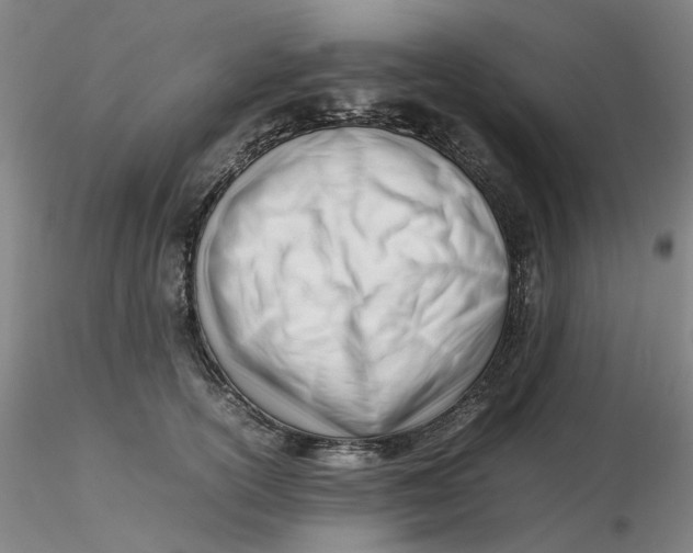 X0000116270754200912211758