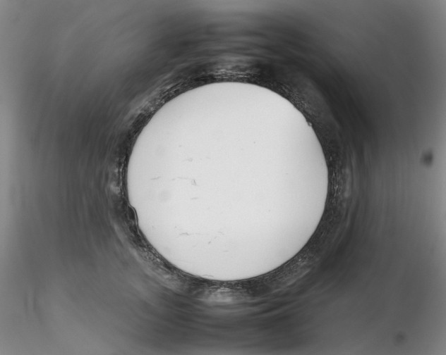 X0000116270755200912211758