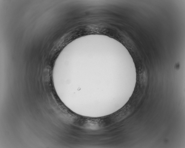X0000116270757200912211758