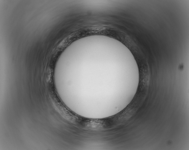X0000116270758200912211758