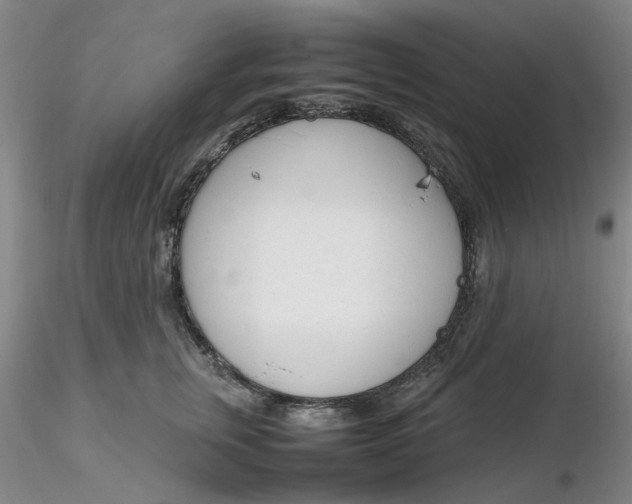 X0000116270759200912211758