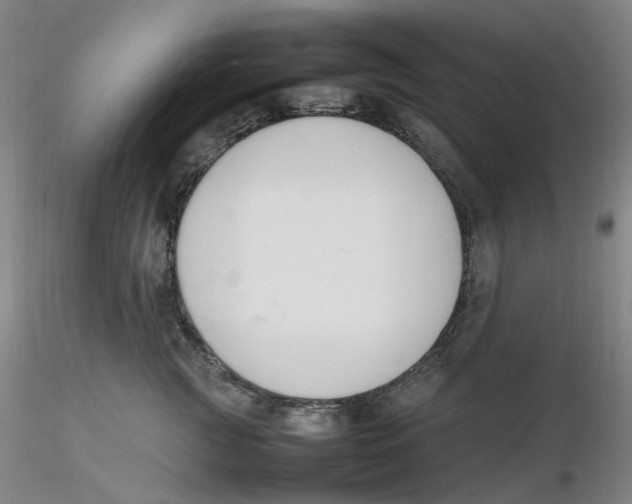 X0000116270761200912211758