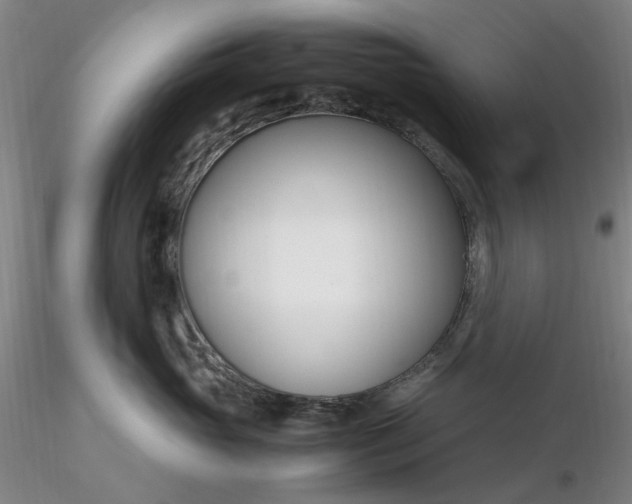 X0000116270765200912211758