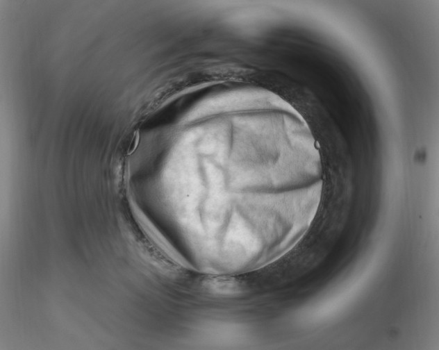 X0000116270767200912211758