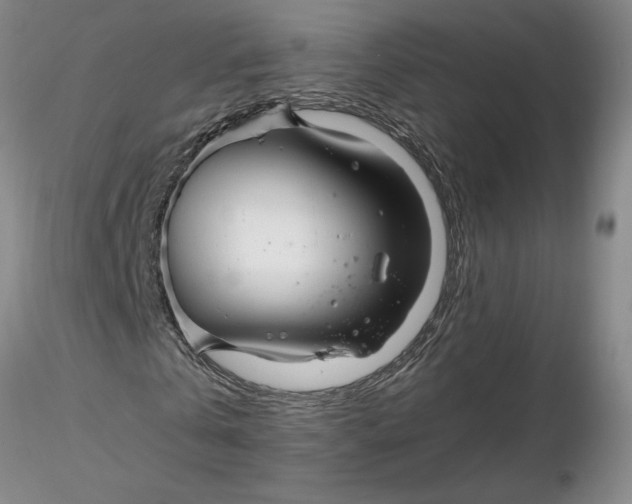 X0000116270769200912211757