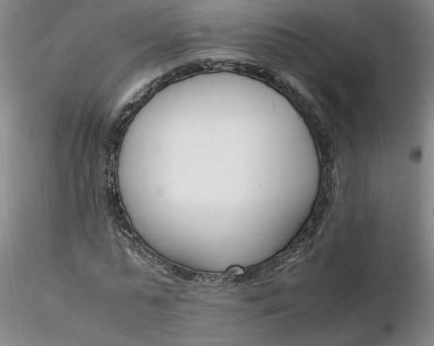 X0000116270775200912211757