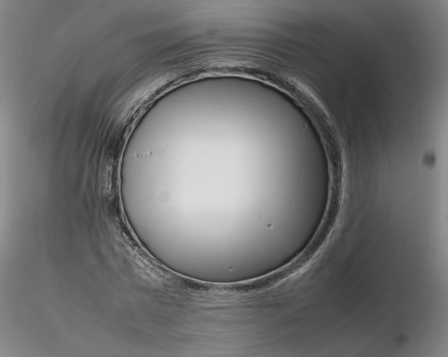 X0000116270777200912211757