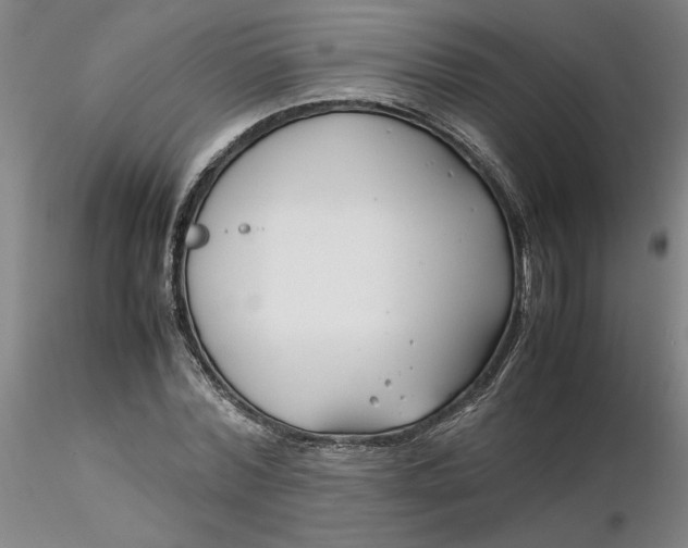 X0000116270780200912211757
