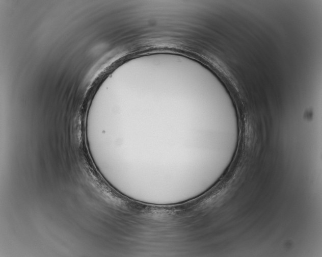 X0000116270782200912211757
