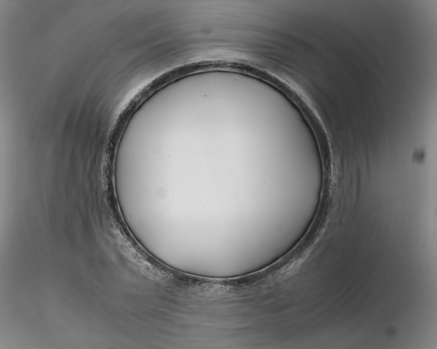X0000116270783200912211757