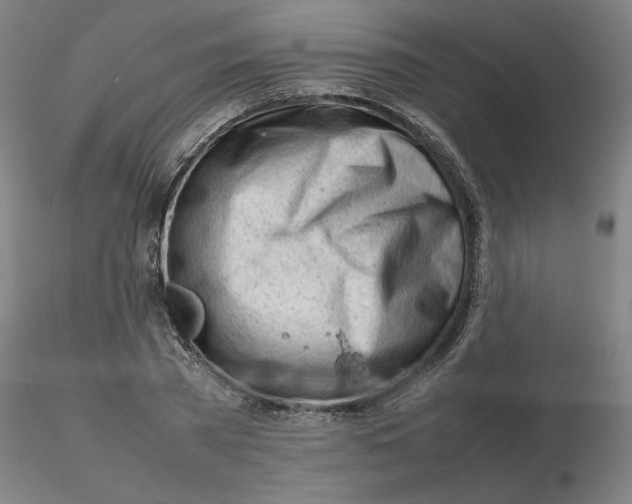 X0000116270785200912211757