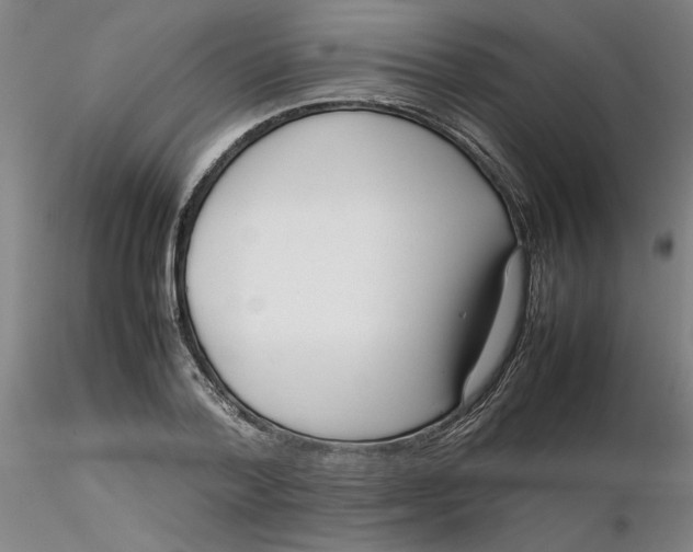 X0000116270788200912211757