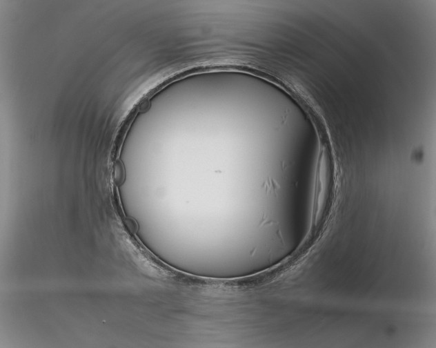 X0000116270789200912211757