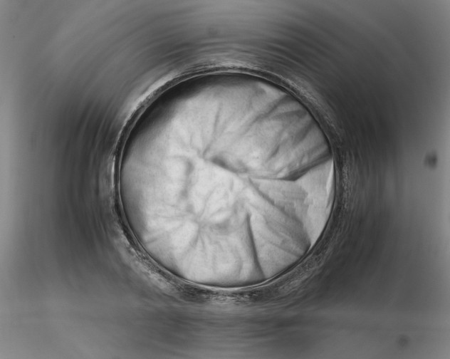 X0000116270790200912211757