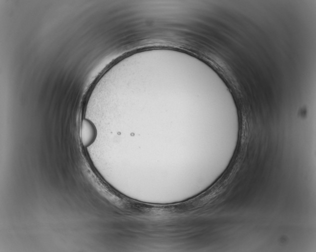 X0000116270796200912211757