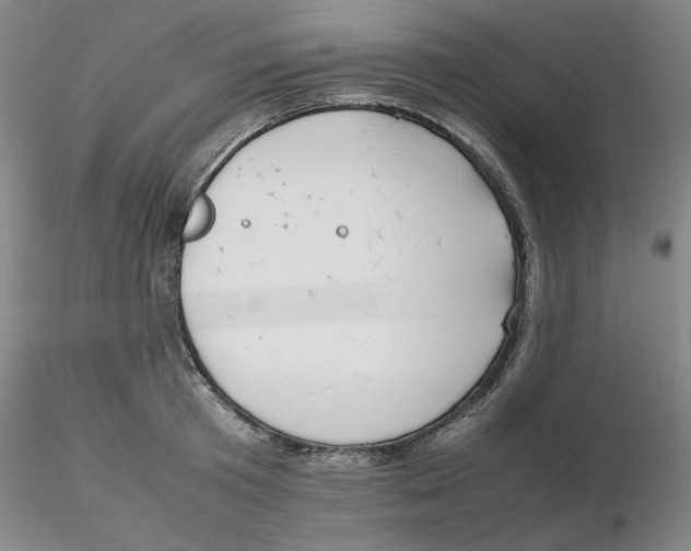 X0000116270801200912211757