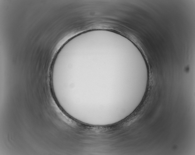 X0000116270803200912211757