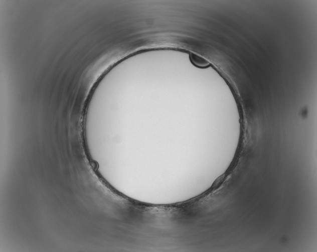 X0000116270805200912211757