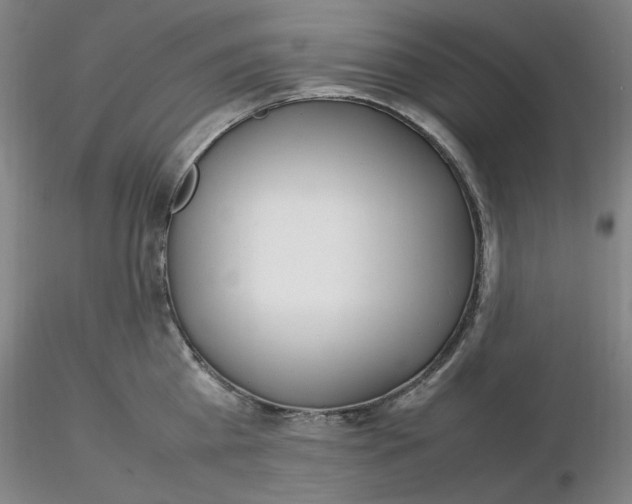 X0000116270809200912211757