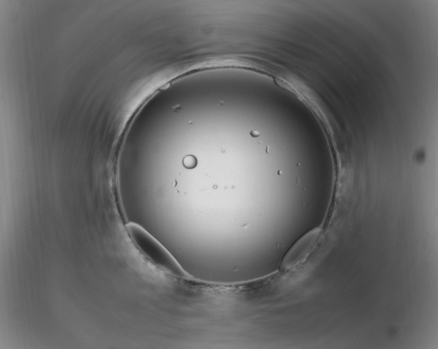 X0000116270813200912211757