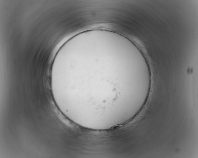 X0000116270816200912211757