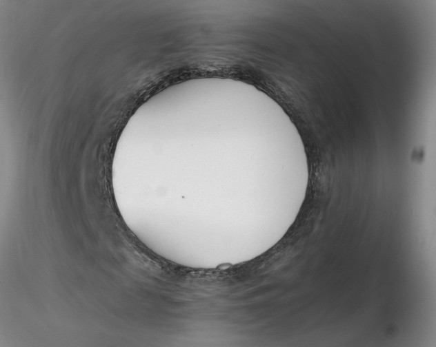 X0000116270817200912211756