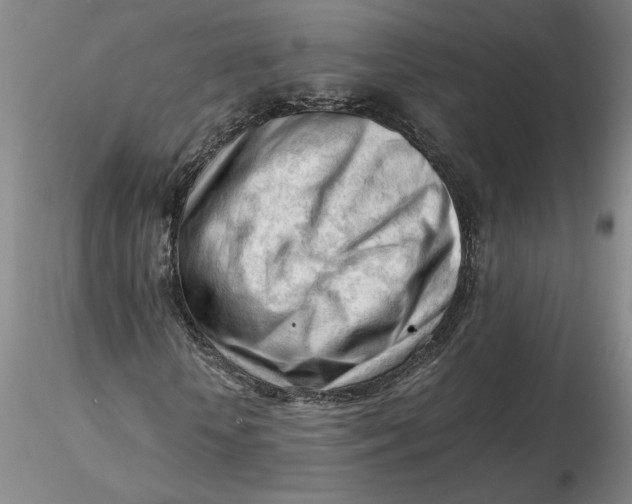 X0000116270818200912211756