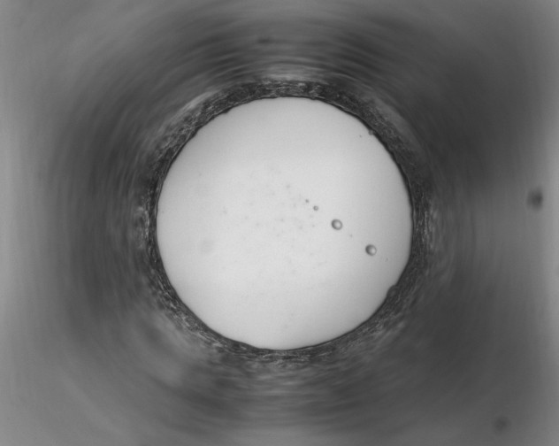 X0000116270821200912211756