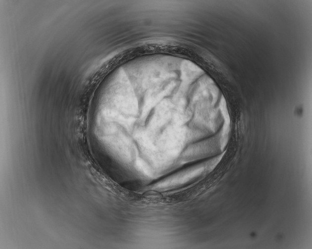 X0000116270822200912211756