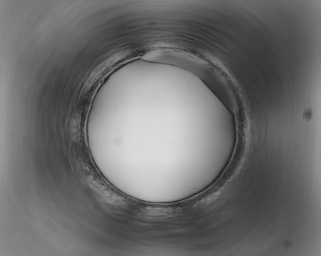 X0000116270825200912211756