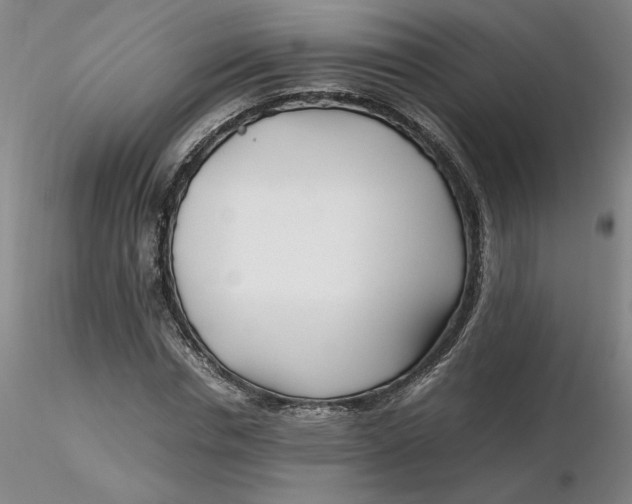 X0000116270826200912211756