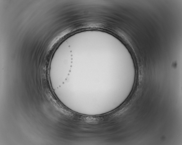 X0000116270827200912211756