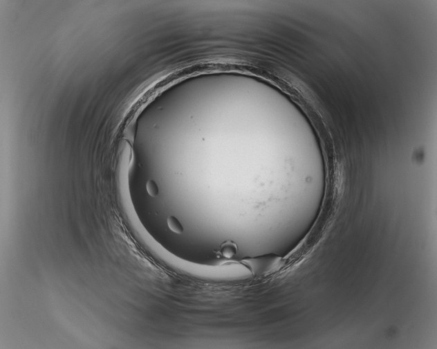 X0000116270829200912211756