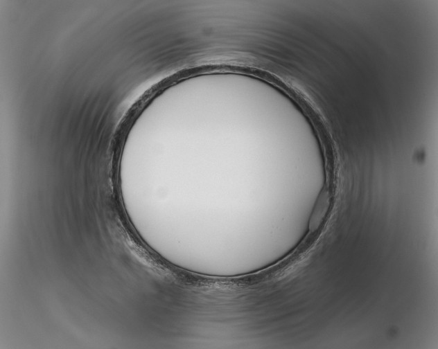 X0000116270830200912211756