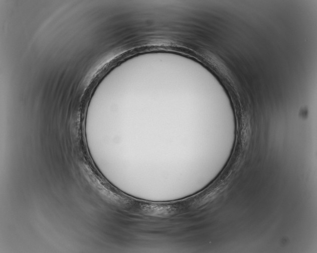 X0000116270831200912211756