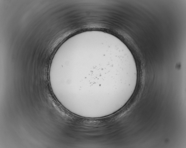 X0000116270833200912211756