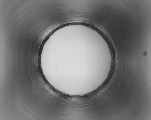 X0000116270834200912211756