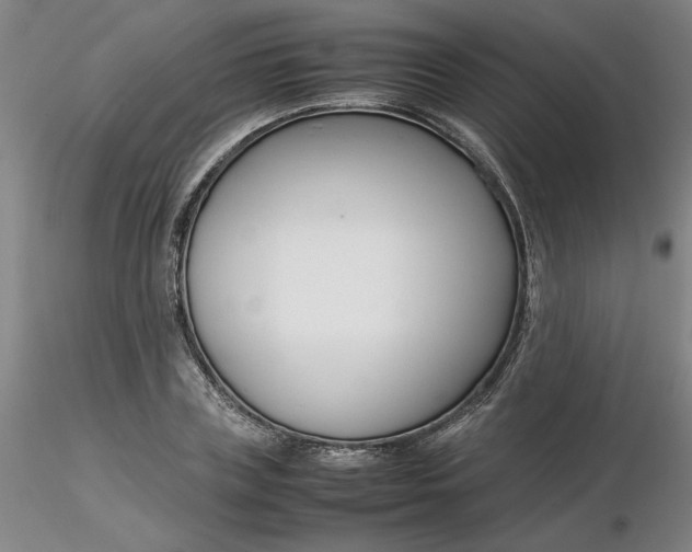 X0000116270835200912211756