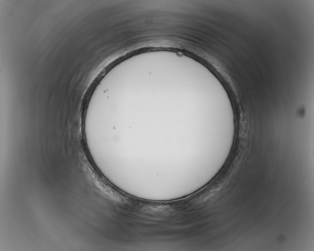 X0000116270837200912211756
