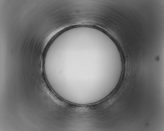 X0000116270838200912211756