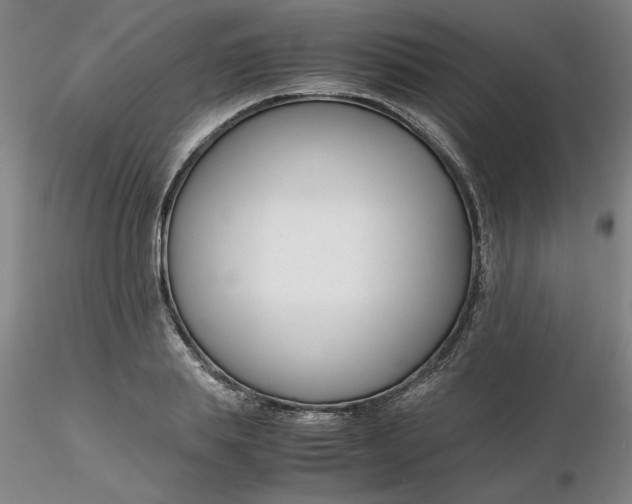 X0000116270839200912211756