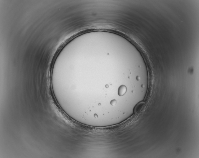 X0000116270840200912211756