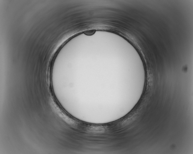 X0000116270843200912211756
