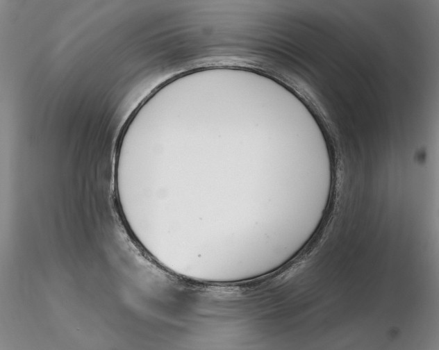 X0000116270844200912211756