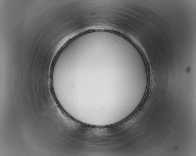 X0000116270845200912211756